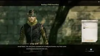 ArcheAge-Daily Guide Gilda Stars