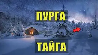 СЛУЧАЙ в ТАЙГЕ ТАЁЖНЫЕ ИСТОРИИ 2025 ВСЕ СЕРИИ СЕРИАЛ АУДИОКНИГА ДОМ в ЛЕСУ из ЖИЗНИ КНИГИ СЛУШАТЬ