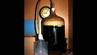 Brew 03 - Deception Cream Stout - Time Lapse (42 Hrs)