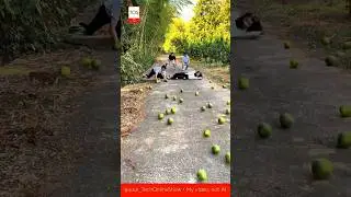 FRUITS FLY 💥 friends&rsquo; quick reaction#shorts #crafts #skills #reaction #teamwork