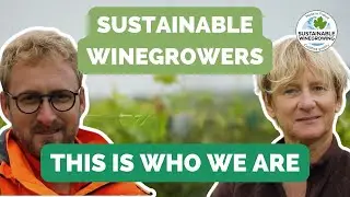 ENG | Sustainable Winegrowing : this is who we are.