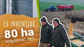 Zbiór kukurydzy ES inventive z 80 ha w gospodarstwie Nowińskich
