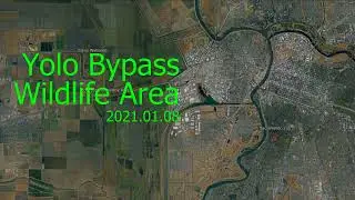 Yolo Bypass Wildlife Area