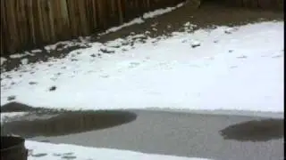 Rain, to high mountain snow = DOWN UNDER valley floor snow