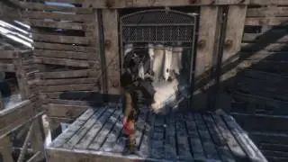 Rise of the tomb raider