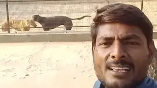 #originalvideo #youtube #videoshort #india #dailyblog#youtube#rb# raju# maurya#UP.33 जिला अमेठी