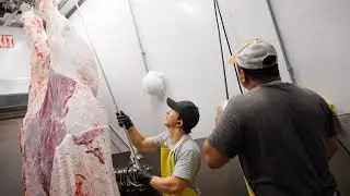 Intro to Modular Meat Processing System | Friesla Harvest Module