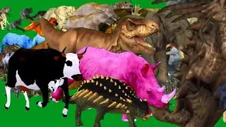 Left to Right Running Animals Stampede Green Screen Blue Screen Black Screen HD Video