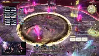 FFXIV raid