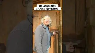 Sustainable Food Storage: Root Cellars