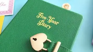 5 Year Fashion Diary Video 13012022b