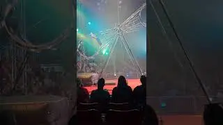 This Spinning Wheel of Destiny Act at Circus Vargas Will Leave You Breathless! 🎪✨