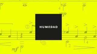 Humedad de la Guitarra