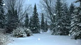 Welcome Yule! - Parry