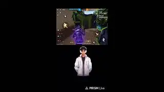 Live streaming of APX LIVE GAMING