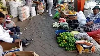 Walk and Explore North of Old town Quito, Ecuador