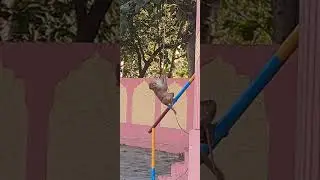 funny monkey video #monkey #funnymonkey #animals