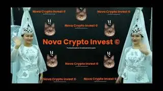 Ouverture entreprise Nova crypto invest