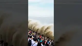 So many people,   what a tide! what a experience!