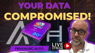 This Algorand NFT project just COMPROMISED your data | HBAR NEAR Algorand news