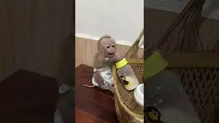 Good morning funny 😄 baby 
