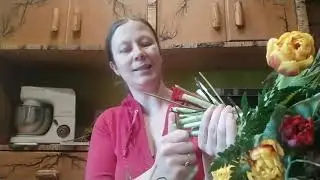 Kimbu tegemine ja minu mõtted