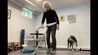 Tibialis tendon Training With Andrea Lepcio || Mighty Fit