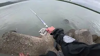 前打釣遊