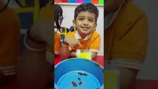 Sorting Activity in Preschool | BVB Vidyashram Balwadi 2025#preschool