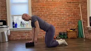 Upper Extremity multifidi and shoulder stability