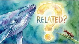 Animal Family Adventure: From Ants to Whales! 🐋🐜
