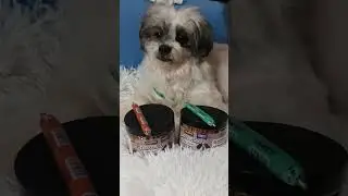 #furbaby