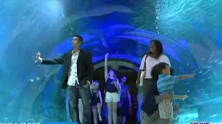 Sensory friendly day offered at two Orlando attractions on Saturday