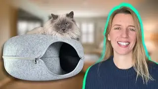 Cat Cave or Donut Bed? Watch My Cat Decide!