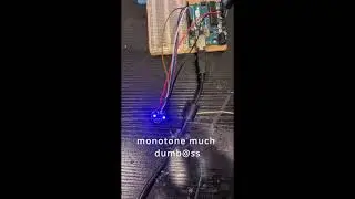 Earring Demo