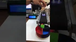 Renk Ayırıcı Konveyör Bant ile Paketleme Sistemi