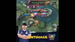 Alice AntiMage Penyelamat Evos Msc 2021