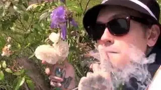 You're Dreaming - Cantcallme.exe  [prod mors]  -MUSIC VIDEO-