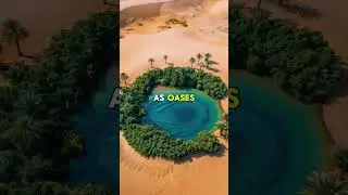 How are desert oases formed?