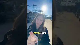 💎 Cuando un Maserati pisa el desguace&hellip;sabes que hoy no es un d&iacute;a cualquiera 😏