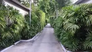 W Retreat Koh Samui ：Tropical Oasis Room