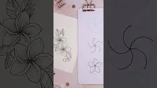 How I Draw Plumerias