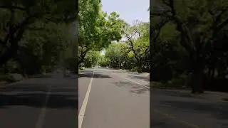 Lush green scenery along the highway