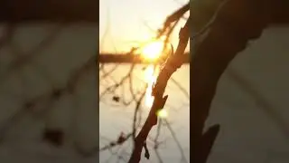 Sunset chaser #shorts #broll #cinematic #mustwatch #videooftheday #shortsfeed #viral #winter #chill