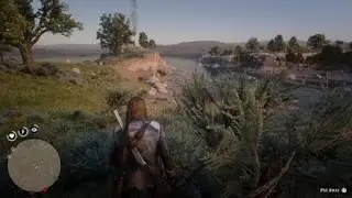 RDR2 Hawk kills rattlesnake