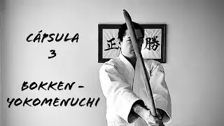 Ricardo Toro - Cápsula Técnica 3, Bokken Yokomenuchi