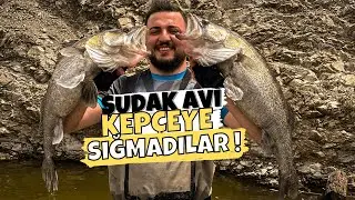 Sudak Avı / Kepçeye Sığmayan Sudaklar ! / Lrf Atçek Sudak Avı