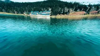 A bird flies over the lake of Payolle | Lac de Payolle | Hautes-pyrénées | France