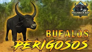 CAÇADA DE BUFALOS PERIGOSOS - THE HUNTER CLASSIC GAMEPLAY PT-BR