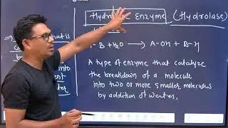 Hydrolytic enzyme meaning||hydrolytic enzyme explained in hindi||hydrolytic enzyme kya hota hai||